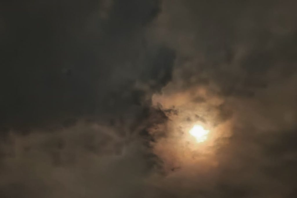 Фото: Новая вкладка