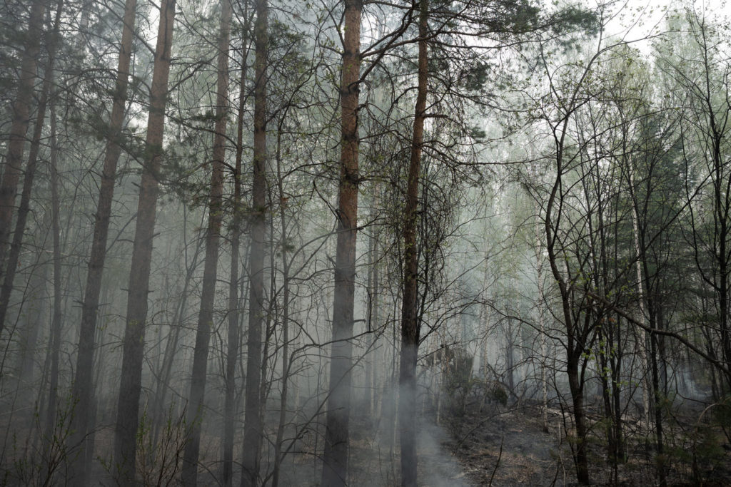 Фото: Новая вкладка