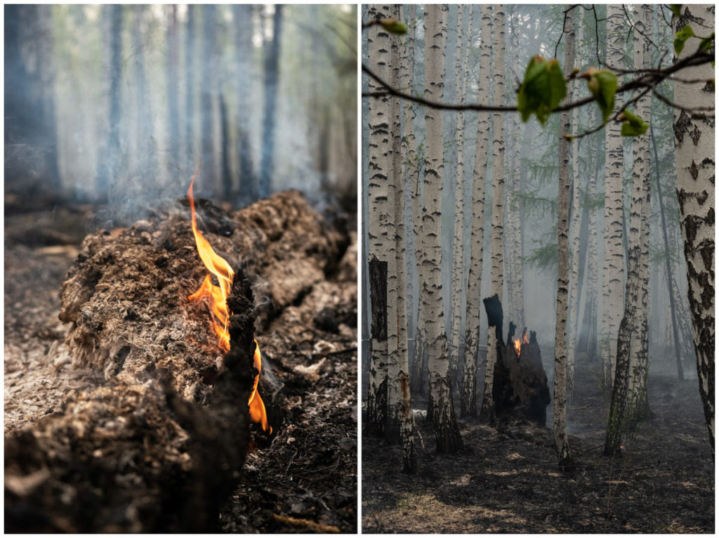Фото: Новая вкладка