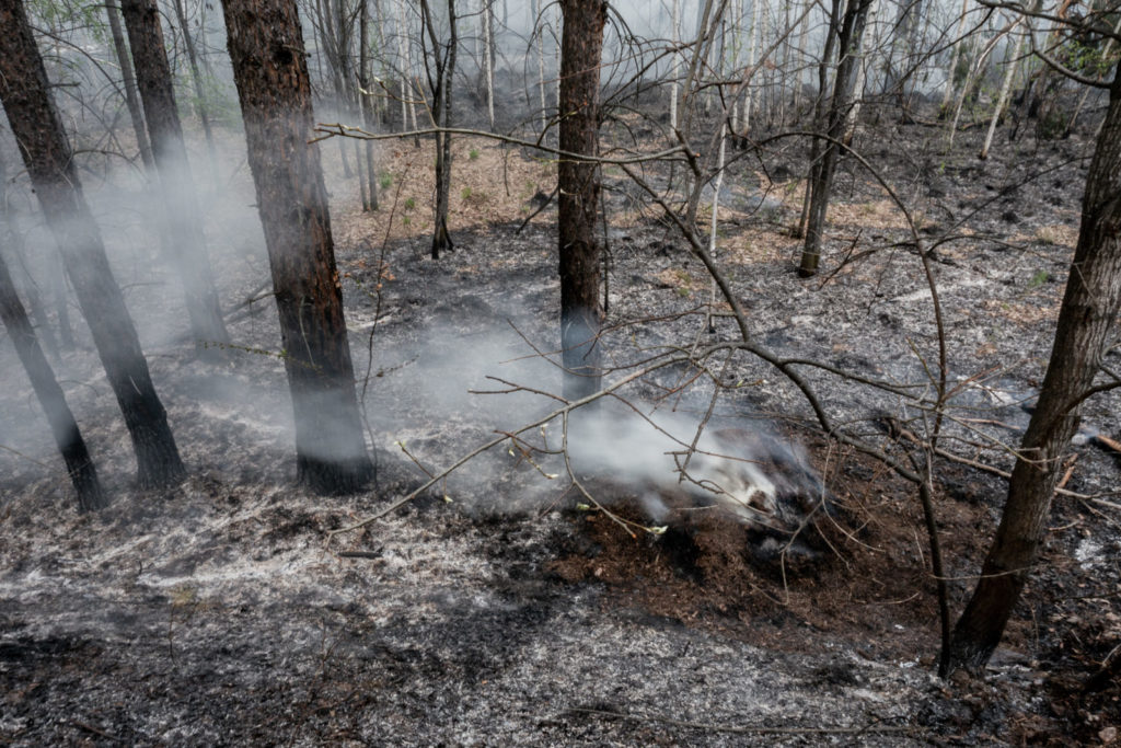 Фото: Новая вкладка