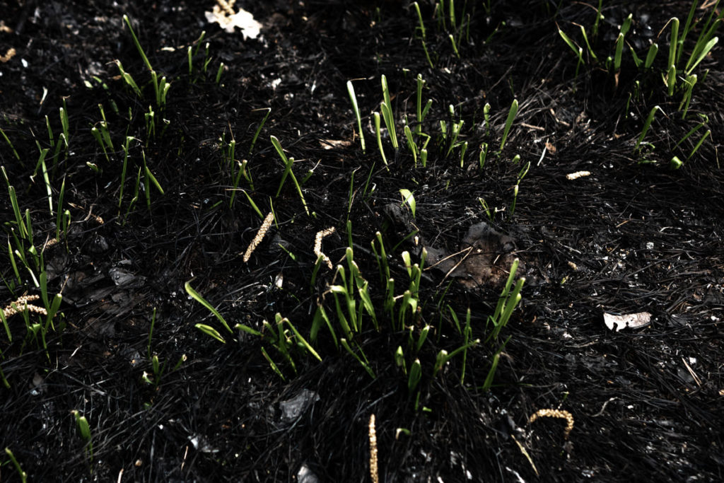 Фото: Новая вкладка