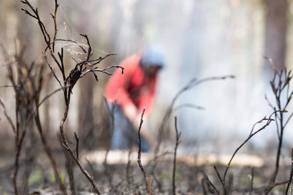 Фото: Новая вкладка