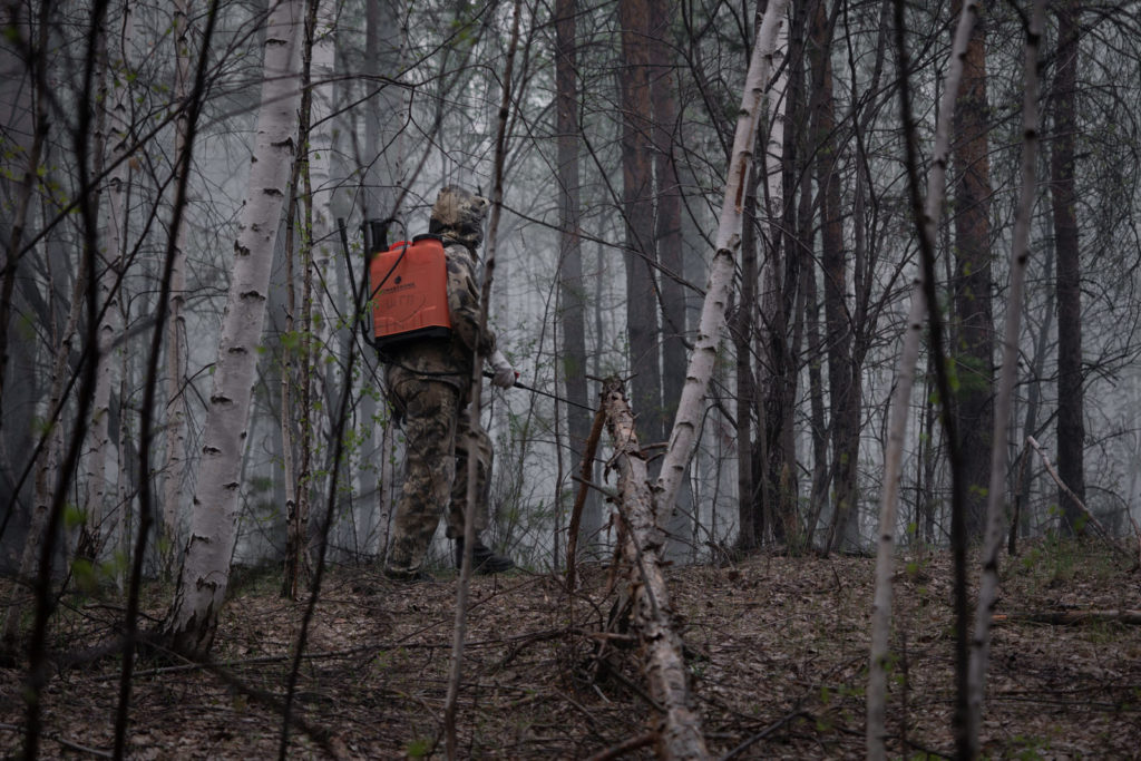 Фото: Новая вкладка