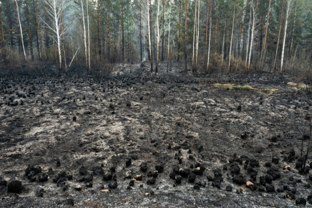 Фото: Новая вкладка