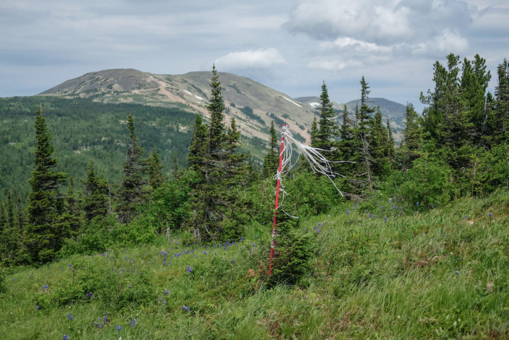 Фото: Виль Равилов для НВ