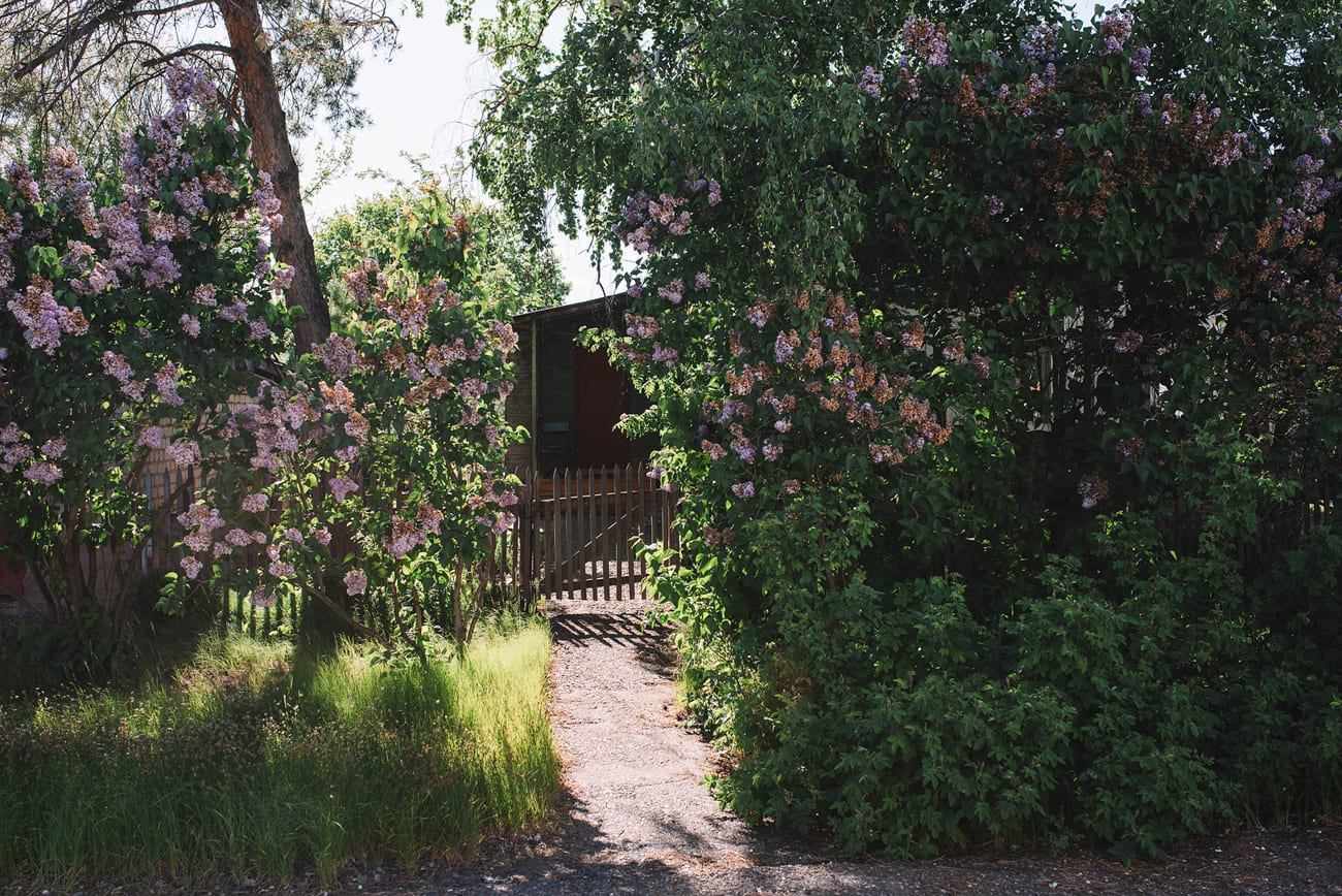 Фото: Новая вкладка