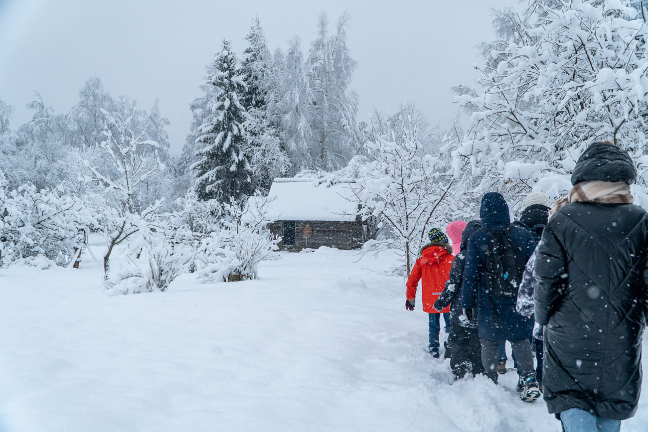 Фото: Алексей Иванов