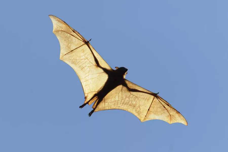 Фото: Bill Coster / Alamy Stock Photo / Reuters