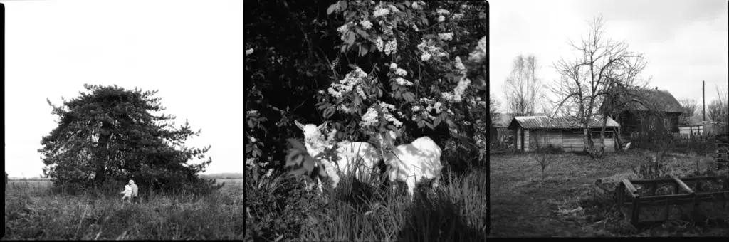 Фото: Татьяна Островская