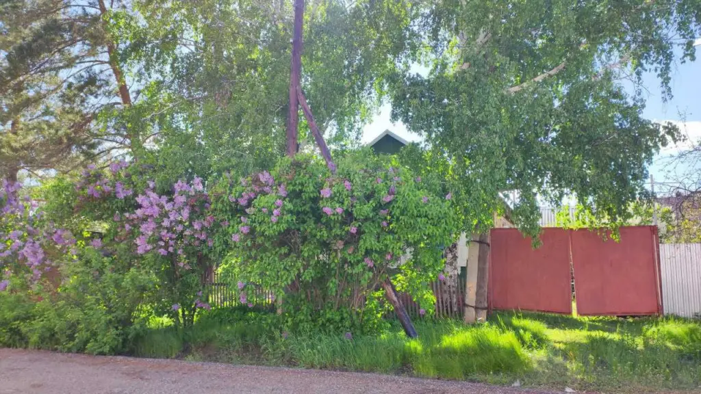 Фото: Александра Захваткина