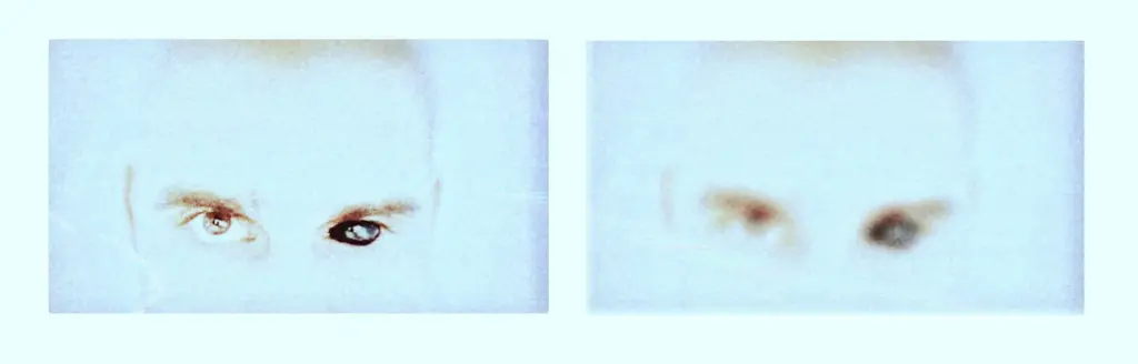 Фото: Лиза Жакова для НВ