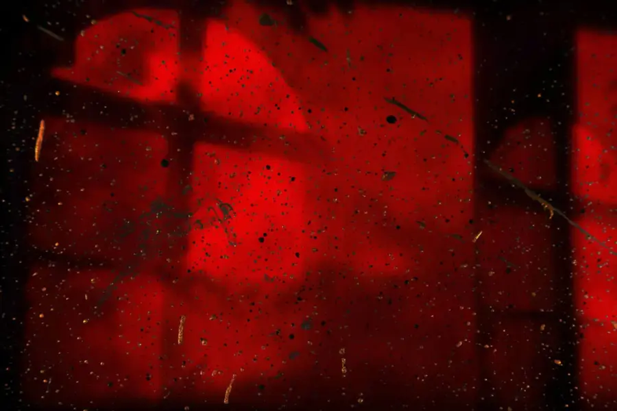 Фото: Jr Korpa / Unsplash