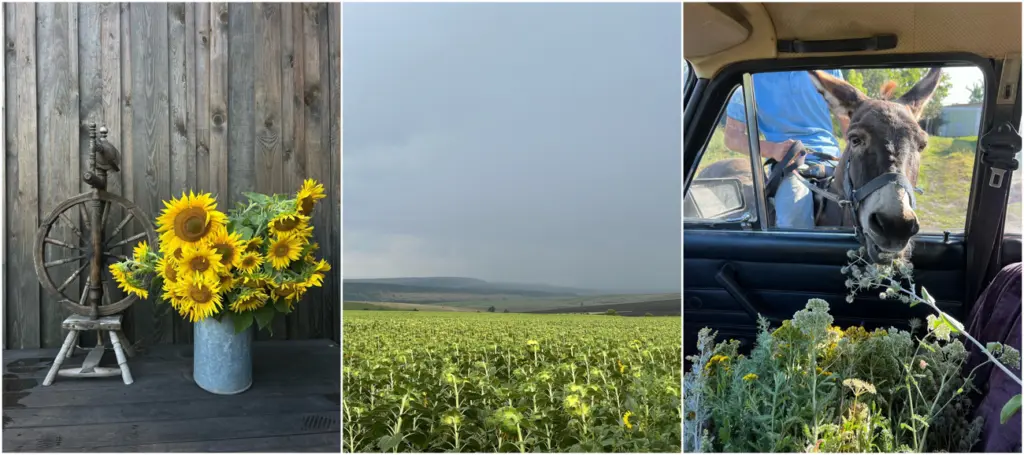 Фото: Лоховская жизнь / vk.com