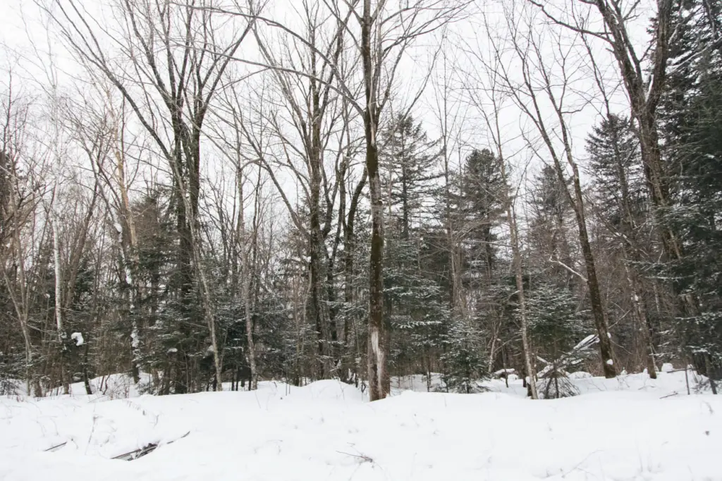 Фото: Новая вкладка