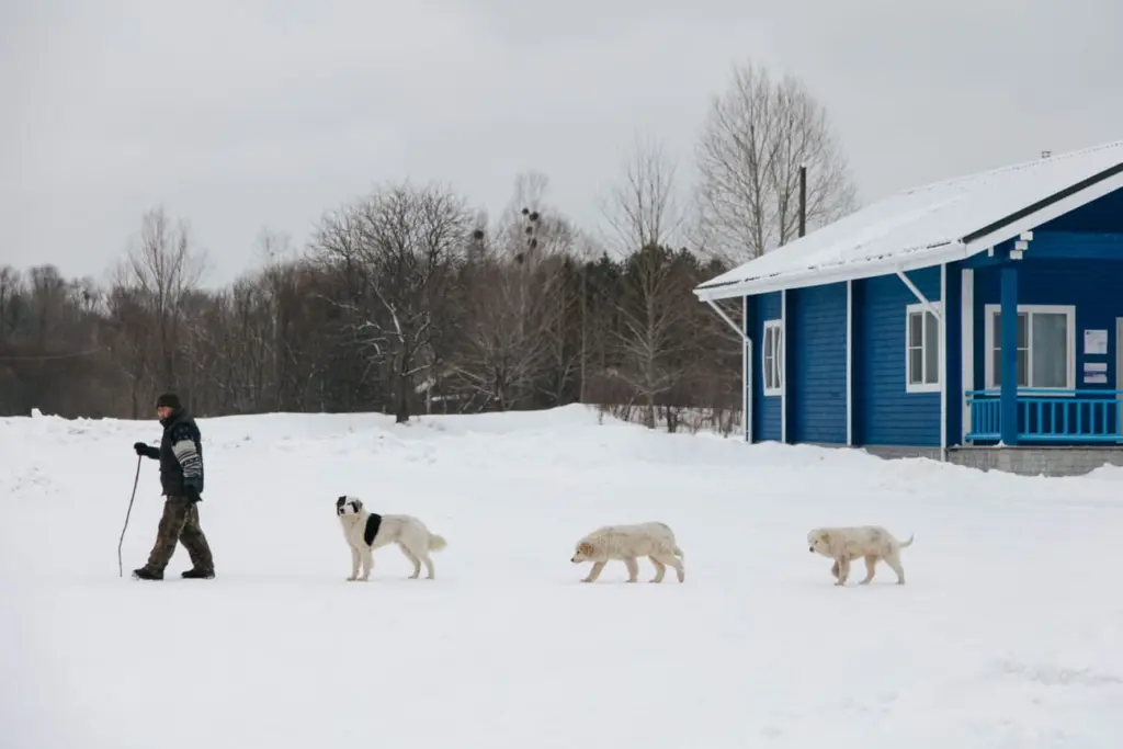 Фото: Новая вкладка