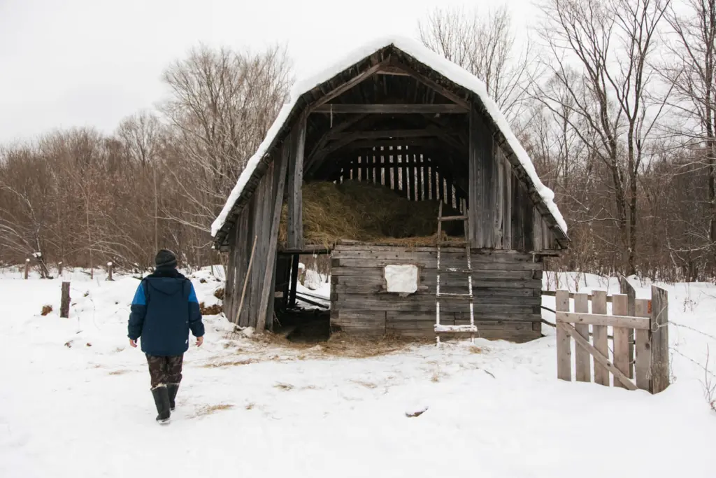 Фото: Новая вкладка