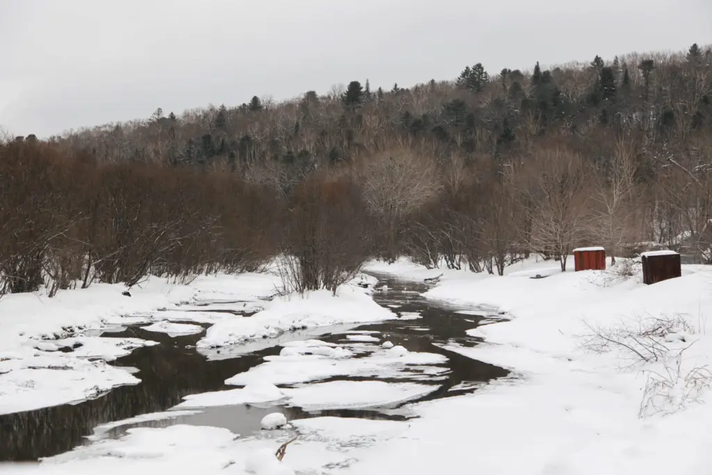 Фото: Новая вкладка