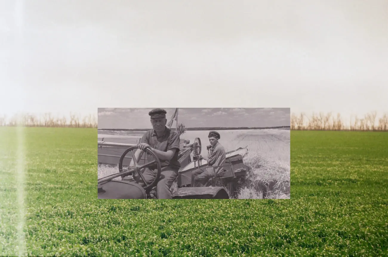 Поле в станице Новотитаровской. Чёрно-белое фото: Дмитрий Слюсаренко, семейный архив Путимцевых. Цветное фото: Алина Десятниченко