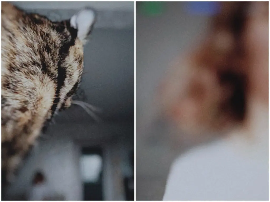 Фото: Лиза Жакова для НВ