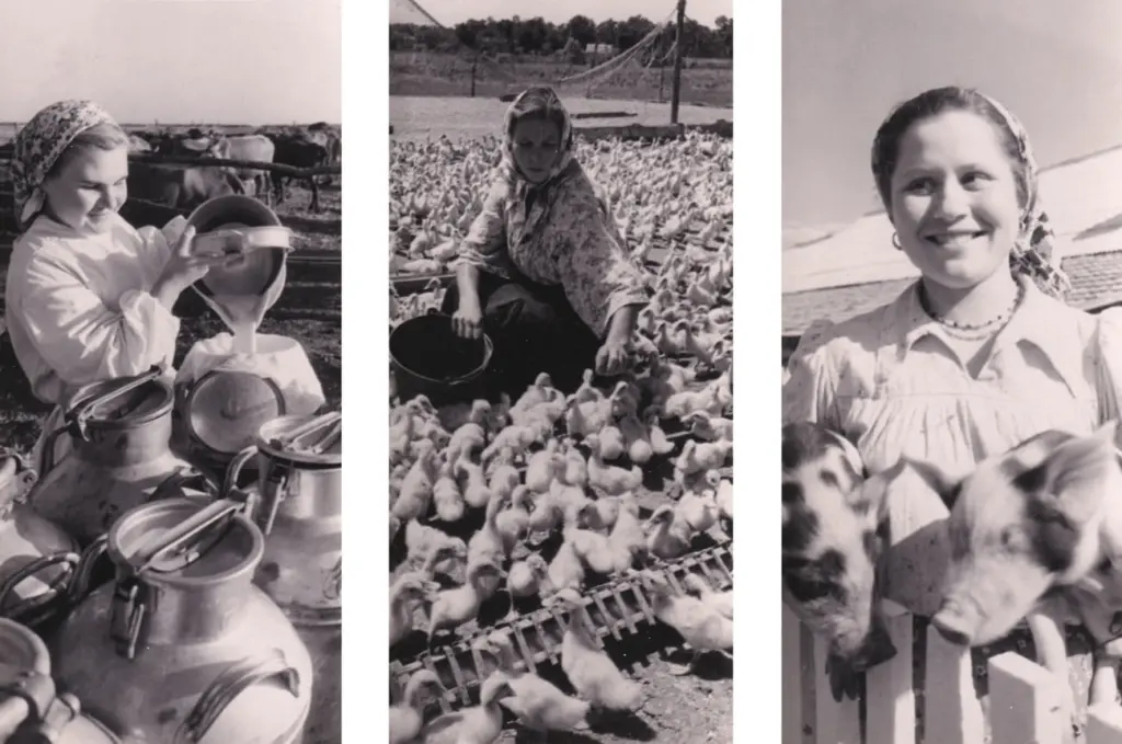 Фото: Дмитрий Слюсаренко, семейный архив Путимцевых
