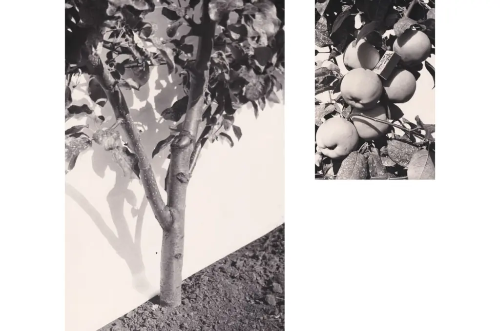 Фото: семейный архив Путимцевых
