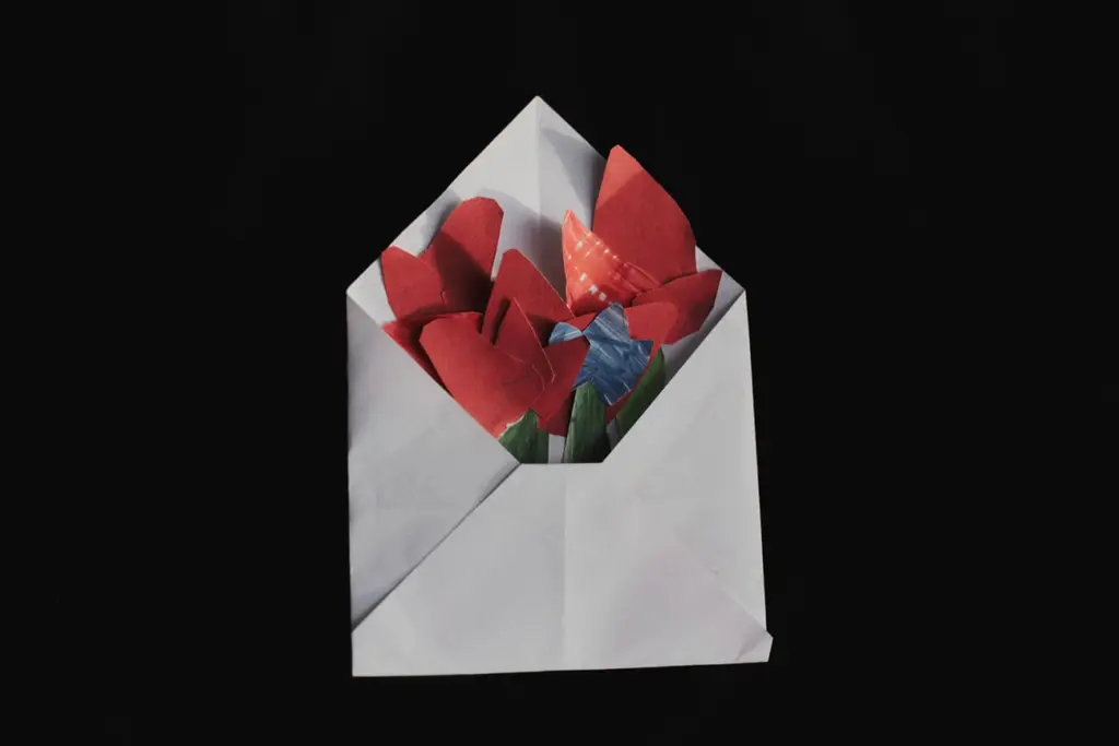 Фото: Лиза Жакова для НВ