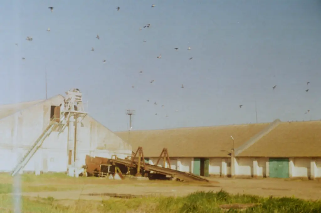 Фото: Алина Десятниченко