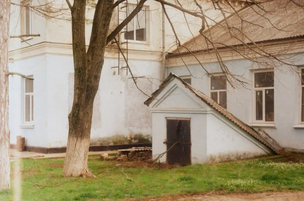 Фото: Алина Десятниченко