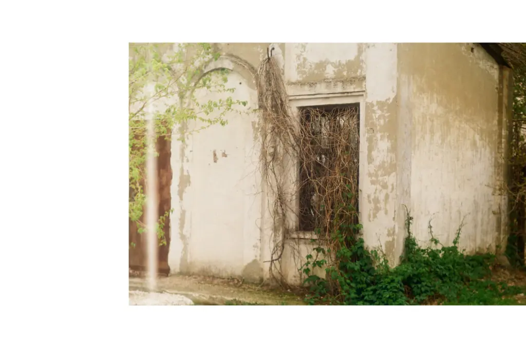 Фото: Алина Десятниченко