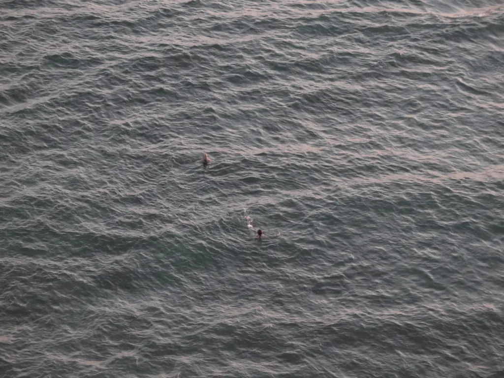 Фото: Алина Десятниченко для НВ