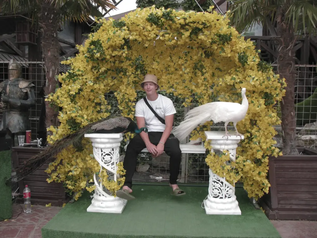 Фото: Алина Десятниченко для НВ