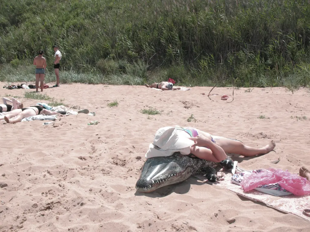 Фото: Алина Десятниченко для НВ