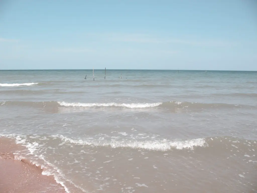 Фото: Алина Десятниченко для НВ