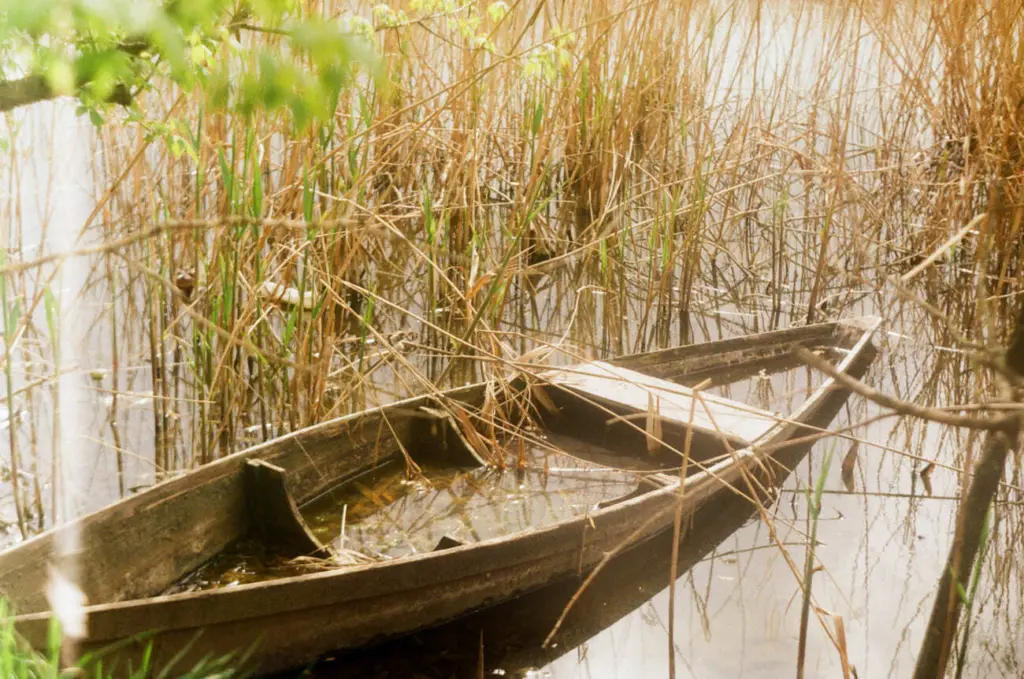 Фото: Алина Десятниченко