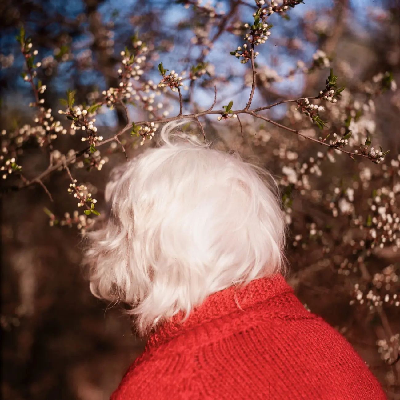 Фото: Ольга Стриженкова