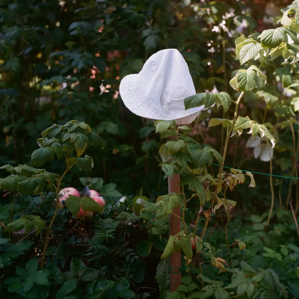 Фото: Ольга Стриженкова