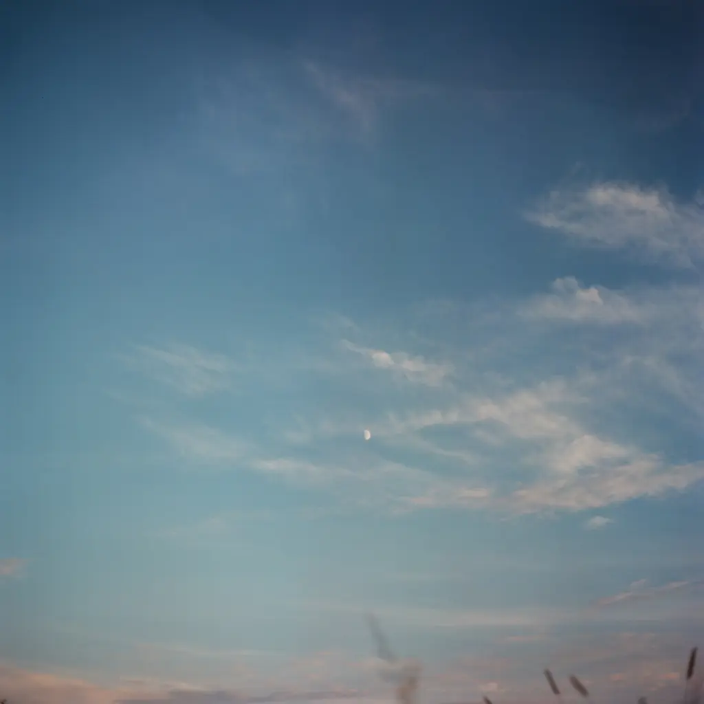 Фото: Ольга Стриженкова