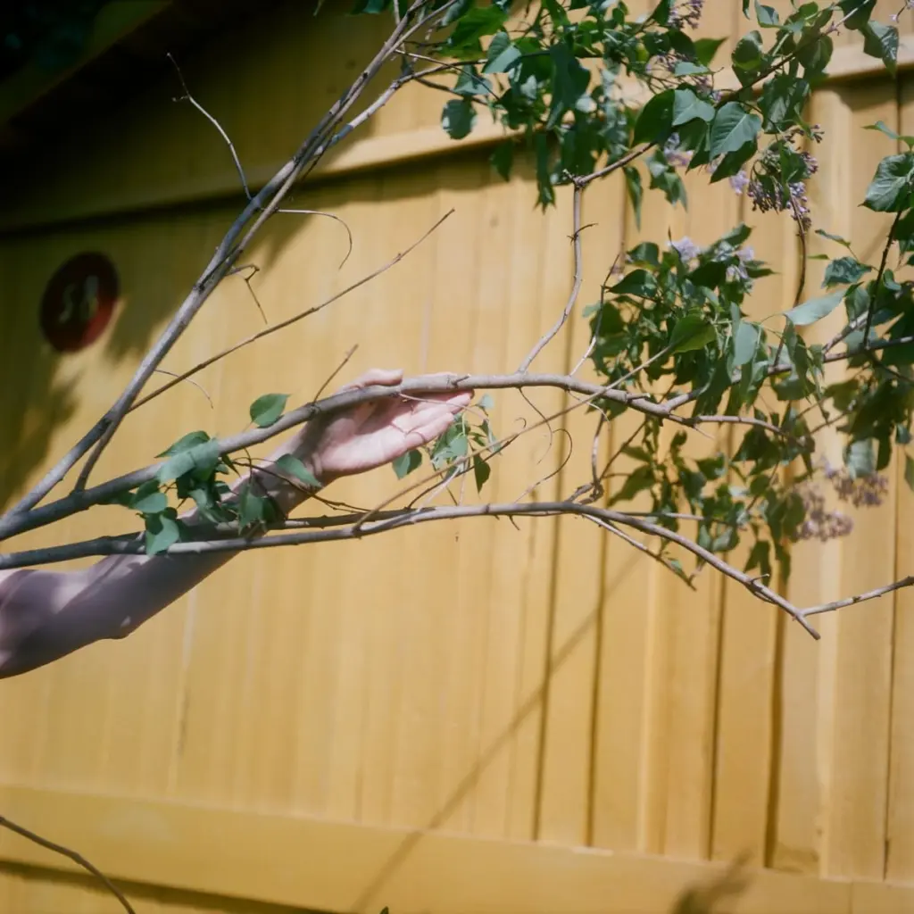 Фото: Ольга Стриженкова