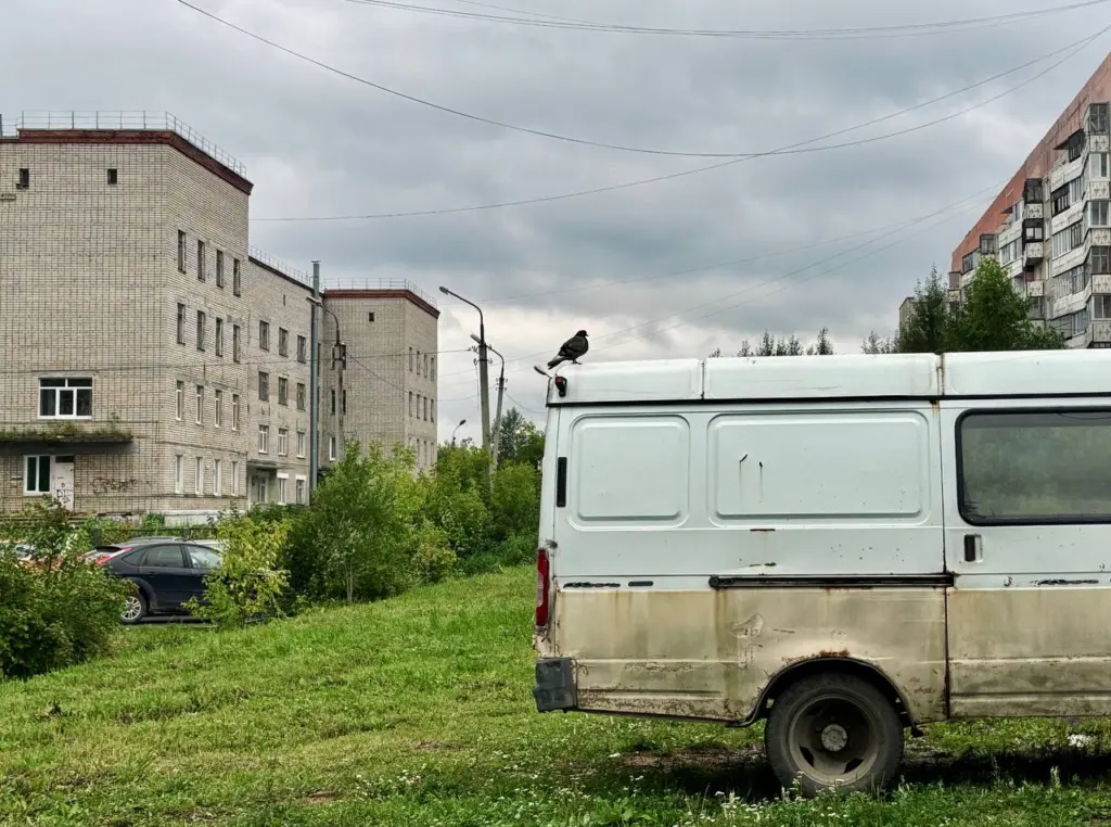 Фото: Иван Козлов