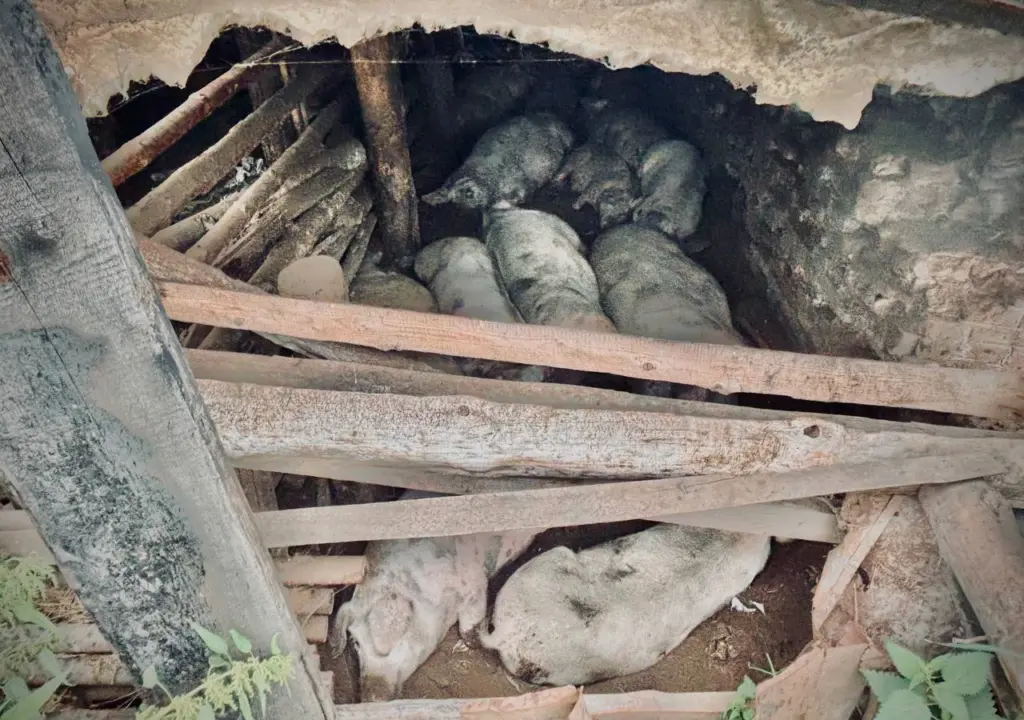 Фото: Иван Козлов