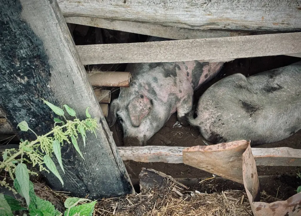 Фото: Иван Козлов