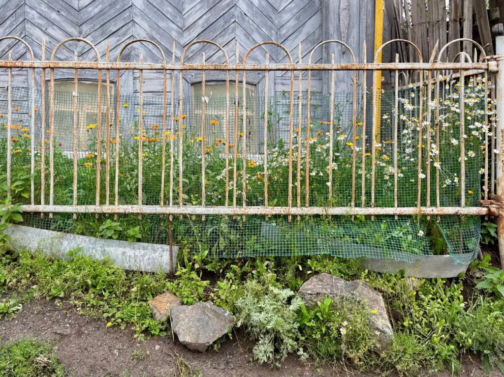 Фото: Иван Козлов