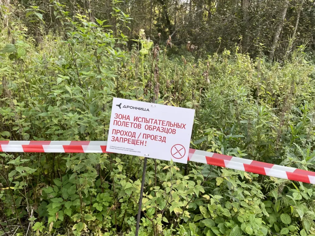 Фото: Новая вкладка