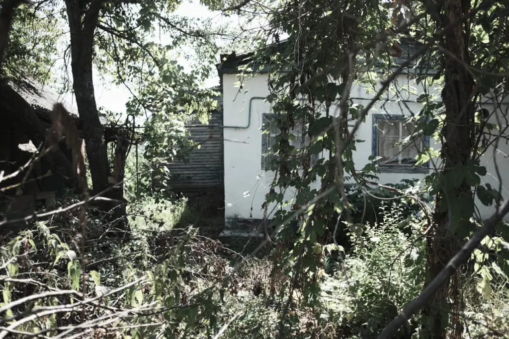 Фото: Алина Десятниченко для НВ