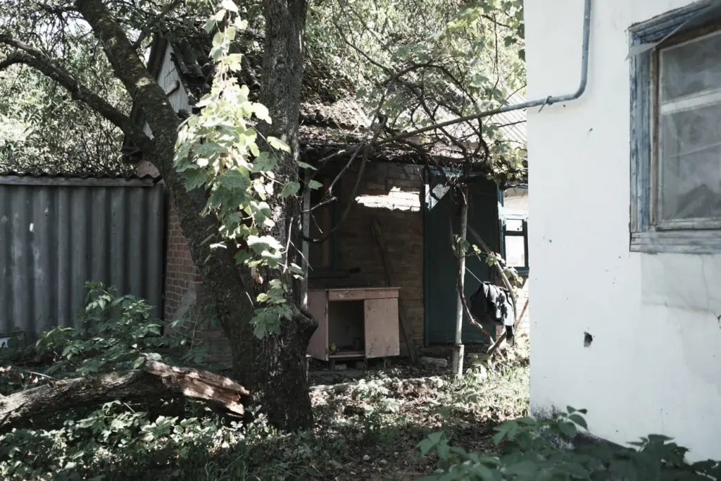 Фото: Алина Десятниченко для НВ