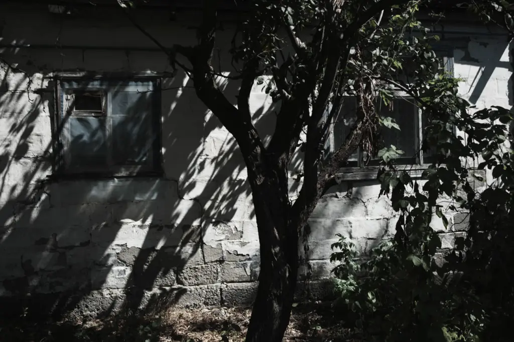 Фото: Алина Десятниченко для НВ