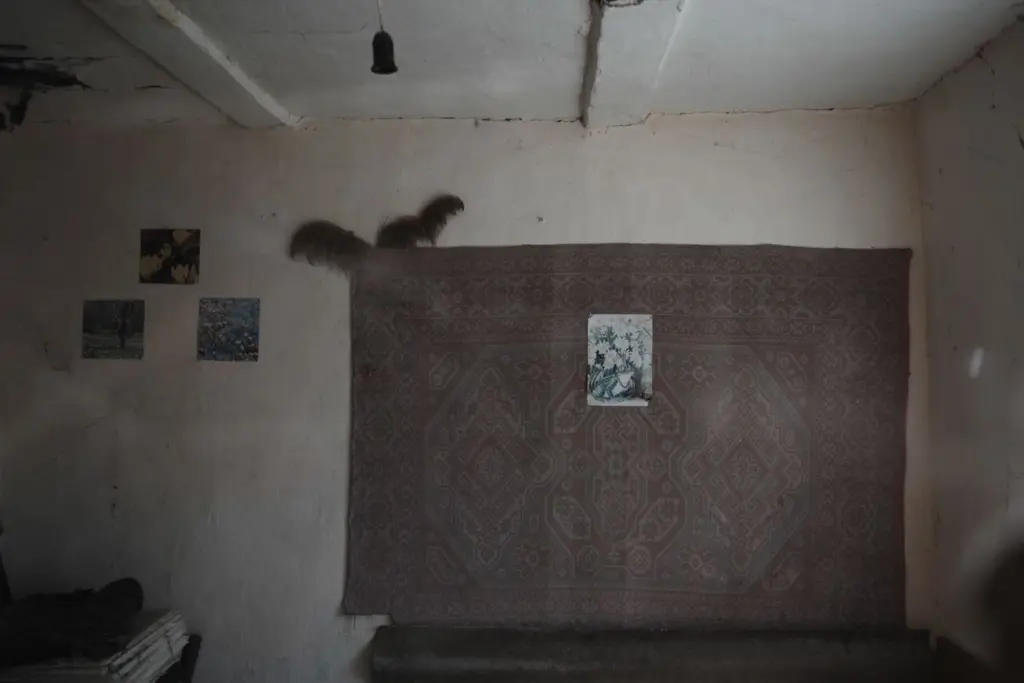 Фото: Алина Десятниченко для НВ