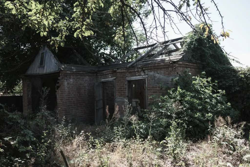 Фото: Алина Десятниченко для НВ