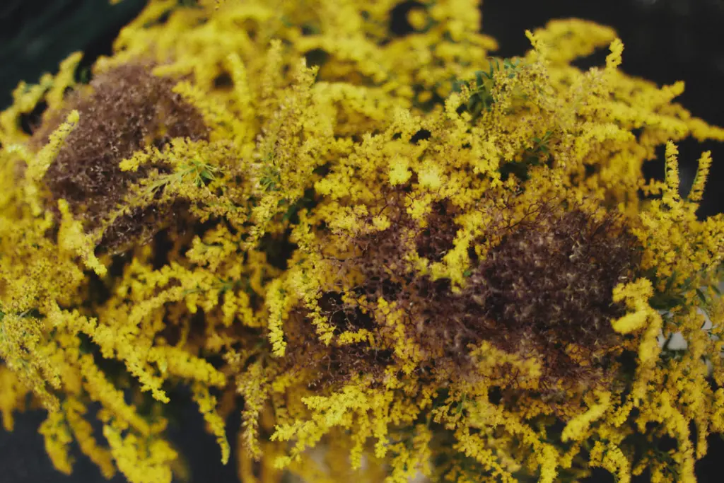 Фото: Лиза Жакова для НВ