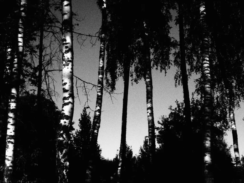 Фото: Любовь Неверова для НВ